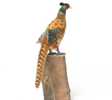 3846 - Hansa Toy - Fasan 31 cm