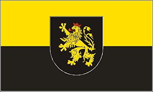 U24 Fahne Flagge Pfalz mit Wappen 90 x 150 cm