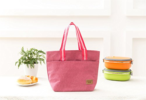 Vinsani Insulated Thermal Lunch Bag Portable Reusable Cooler Bag Unisex | Waterproof & Leak-Proof Design for Outdoor, Beach, Camping, BBQ & Travel, Lightweight & Foldable - Pink