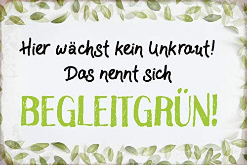 Schatzmix Spruch Hier wächst kein Unkraut Metallschild Deko 20x30 tin Sign Blechschild, Blech, Mehrfarbig, 20x30 cm
