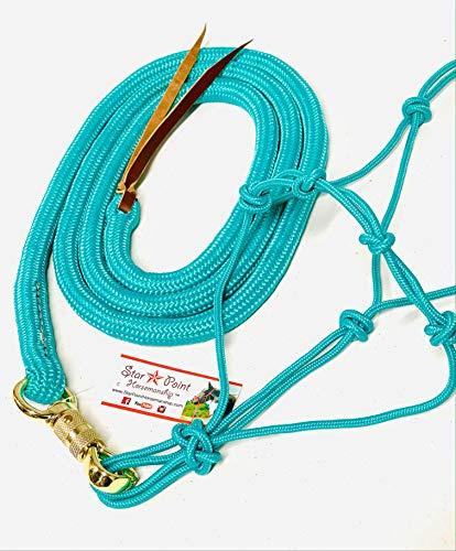 Average Horse 4 Knot Rope Halter & 8' Lead Set (Teal)