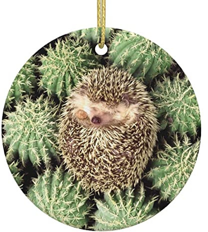 Igel Kaktus Weihnachtsschmuck Schöne Weihnachten Keramik Rund Anhänger Christbaumschmuck Kugeln