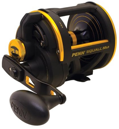 PENN Squall Level Wind Moulinet à Tambour Tournant pour la Pêche Lourde en Mer, Pêche au Jig, Pêche Sur Épave, Lieu, Pagre, denti, Sériole, Requin