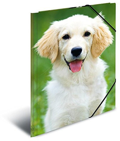 Herma 7144 Eckspannermappe Hunde, aus PP, DIN A3, 5 Stück