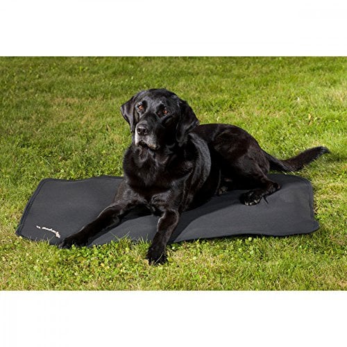 Hundematratze Cage Fit, Back on Track® - Hund - Größe 100 x 68 cm