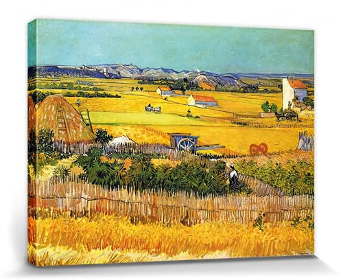 1art1 Vincent Van Gogh Poster Die Ebene La Crau Bei Arles Mit Montmajour Im Hintergrund, 1888 Bilder Leinwand-Bild Auf Keilrahmen | XXL-Wandbild Poster Kunstdruck Als Leinwandbild 80x60 cm