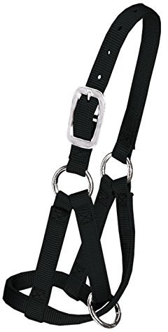 Weaver Llama-Halfter aus Leder