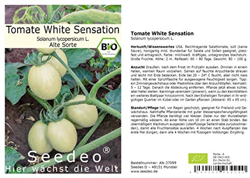Seedeo® Tomate White Sensation (Lycopersicon esculentum Mill.) 25 Samen BIO