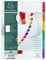 Exacompta 1106E Karton-Register 1-6 für DIN A4 aus Karton 6-teilig volle Höhe 21 x 29,7 cm weiß, bunte verstärkte Taben mit Indexseite Trennblätter Trennstreifen Ordner-Register