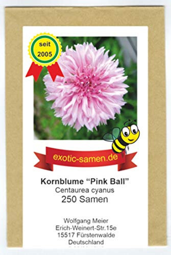 Centaurea cyanus - Bienenweide - Pinke Kornblume Pink Ball - 250 Samen