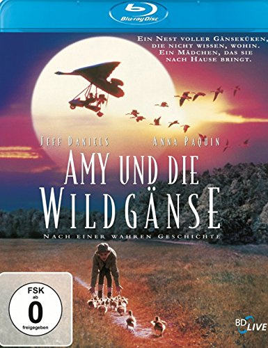 Amy und die Wildgänse
