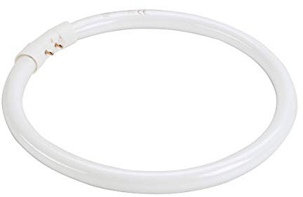 T5-Ringform Leuchtstofflampe, 22W, 3000K