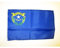 AZ FLAG - Flagge Nevada - 45x30 cm Mit Kordel - Bundesstaat Nevada Fahne 30 x 45 Cm - Flaggen