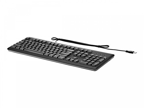 HP QY776AA USB Standard Keyboard PC/Mac, Keyboard