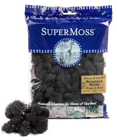Super Moss (25123 Reindeer Moss Preserved, Black, 2oz