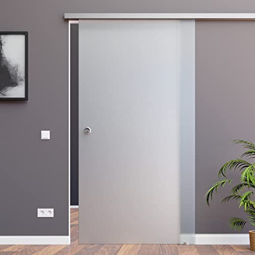 BS-1025D-ASE: Schiebetürsystem ESG 1025x2050x8mm Dekor S, vollsatiniert; Schienensystem ALU SlimLine SoftClose; Griffmuschel