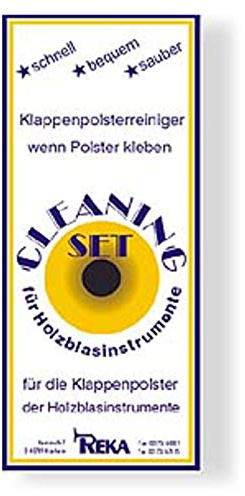 Reka Klappenpolsterreiniger