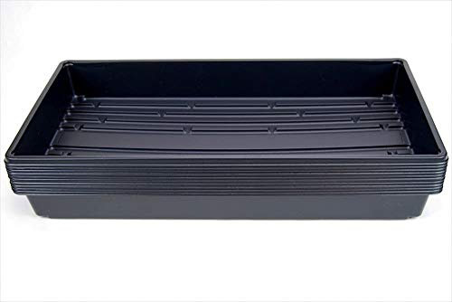 Living Whole Foods 100 Pflanzen-Anzuchtschalen (ohne Abflusslöcher) – 50,8 x 25,4 cm – perfekte Gartensamen-Anzuchtschalen: für Setzlinge, Anbau von Mikrogrün, Weizengras und mehr – Erde oder