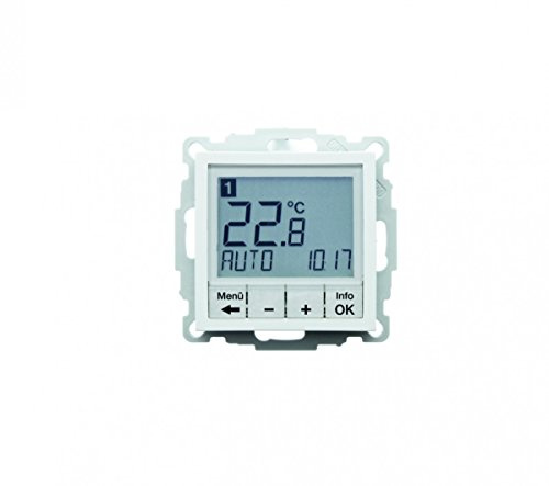 Berker Temperaturregler pws/gl 20448989
