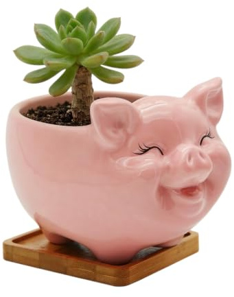 Cuteforyou Succulent Pots,Cute Animal Shaped Cartoon Ceramic Succulent Cactus Flower Planters -Plant Not Included (6 Pig)