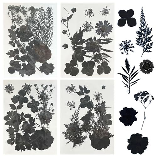Woohome 4 Packung Getrocknete Blumen Natürliche Trockenblumen für Epoxidharz für Harz, Schwarz Getrocknete Gepresste Blätter, Natürliche Trockene Blätter für DIY Harz Schmuck Crafts Art