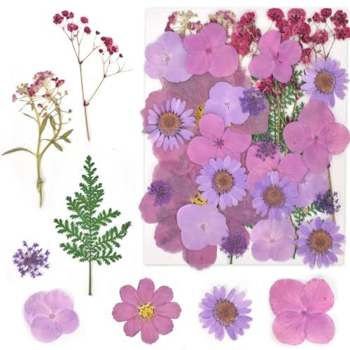 Naapesi 33 Stück Gepresste Blumen, Getrocknete Blumen Deko, Trockenblumen Klein, Trockenblumen zum Basteln, Strohblumen Getrocknet, Trocken Blumen, Getrocknete Blüten für Kunsthandwerk, Lila