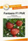 Tomatensamen Tomate Fantasio F1 PhR Freilandtomate Portion