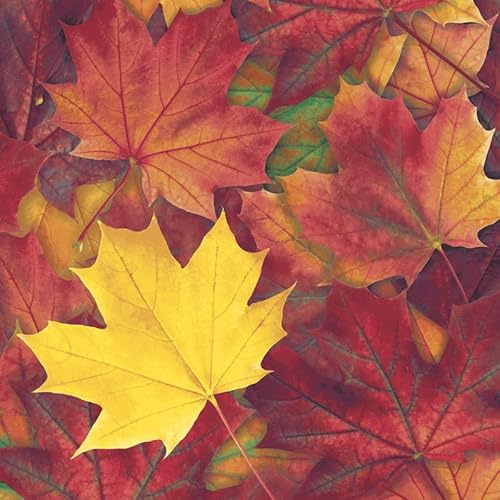 20 Servietten Herbst Herrliche Herbstblätter als Tischdeko. Papierservietten herbstlich mit Motiv. Auch für Decoupage und Serviettentechnik 33x33cm