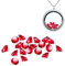 ANDANTE Floating Charms Schwebende Medaillons - 20 Stück Geburtssteine Kristalle Januar (Gamet)