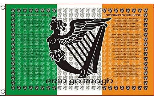 FlagSuperstore Bandera de Irlanda Republicana de Irlanda Irlanda, Grande, 5 x 3 pies