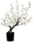 Künstlicher Kirschblüten Bonsai – 42 cm Hoch – Kunstpflanze in Weiß – Japanischer Kirschbaum als Deko für Wohnzimmer, Büro & Tisch – Zimmerpflanze im Topf
