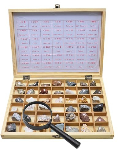 MTTXY 42-teiliges Gesteins- und Mineralien-Set, Metamorphe Gesteinsproben, Sammlung von Gesteinen und Mineralien Zum Lernen, Studieren von Geologie-Gesteinsproben für Wissenschaftliche Klassenzimmer
