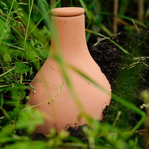 Chimney Sheep 2L Olla Natural Terracotta Irrigation Pot