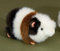 Förster Stofftiere 2460 Meerschweinchen 18cm