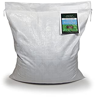 Annual RyeGrass Seed by Eretz - Willamette Valley, Oregon Grown. No fillers, No Weed or Other Crop Seeds (10lb)