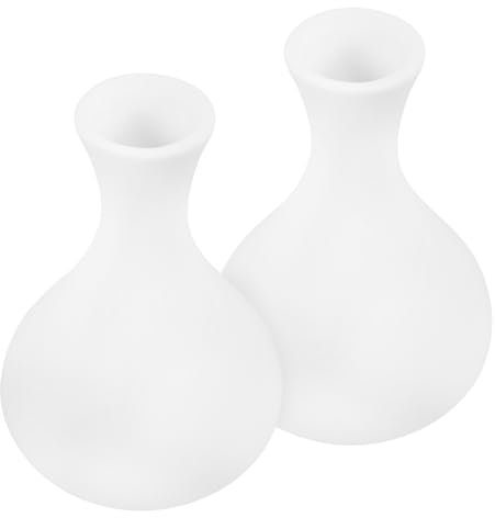 COSMEVIVI 2pcs Ceramic Vase Diy Paint Your Own Flower Vase Small Porcelain Art Craft Project for Living Decoration