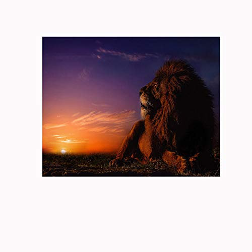 Mural Self- Adhesive Photo Wallpaper Lion 175x210cm Decoration Poster Picture Design Modern for Living Room Bedroom
