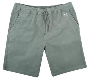 IRIEDAILY Herren Short Corvin Bio-Baumwolle Regular Fit mintgrey