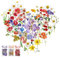 Czdtq 120 Pcs Multicolor Floral Stickers, Transparent Self-Adhesive Decals for Scrapbooking, Journal, Phone Case, Laptop