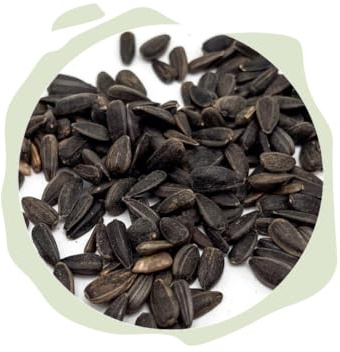 Warnick's Vogelfutter Sonnenblumenkerne schwarz - 5 Liter im Eimer | Ganzjähriges Wildvogelfutter - Energiereich & beliebt bei vielen Vogelarten - Naturbelassen, Herkunft Deutschland