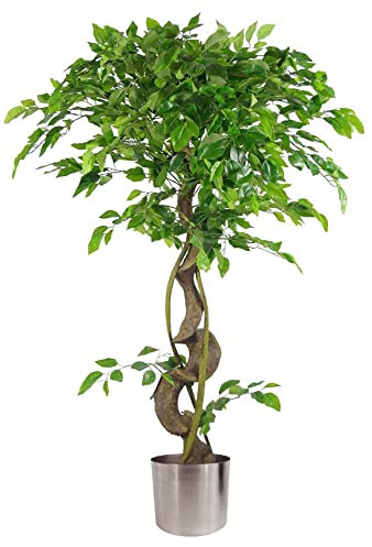 Leaf Realistic Artificial Japanese Fruticosa Ficus Tree, Twisted Silver, 120cm (4ft)