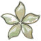 Naturosphère - Bijoux naturels C14 - Broche Fleur avec Nacre Blanche