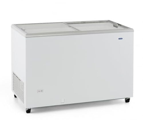 Iceshop ICE220EGITV - Congelador para helados, 222 litros