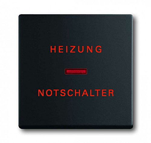 Busch-Jaeger 1789H-885 Wippe
