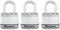 Master Lock M1EURTRI Candado Seguridad Llaves Exterior, Arco Normal, Adecuado para Portales, Garages, Sótanos, plateado, 45 mm, Set de 3 Piezas