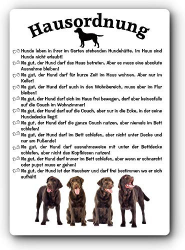 Blechschild/Warnschild/Türschild - Aluminium - 20x30cm - Lustige Hausordnung für Mensch und Hund: Labrador