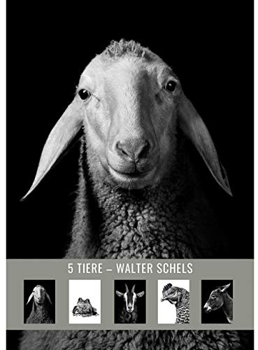 5 TIERE – Postkartenset # 9