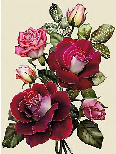 Nicole Knupfer DIY Diamant Painting Kit 5D Strass Diamond Painting Rose Blumen Bilder Full Bohrer Handgemachtes Wanddekoration (2,30x40cm)