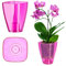 KADAX Flowerpot, Slim Orchid Pot, semplice fioriera, secchio di fiori per orchidea, erba da ragazzo, margherita, roba per cucina e soggiorno (⌀ 12 cm, angolare, rosa)