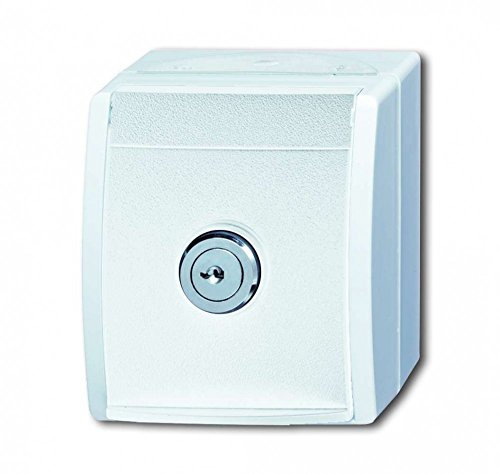 Busch-Jaeger SCHUKO-Steckdose al/ws 20 EWSL-54 mit Schloss Ocean (IP44) Steckdose 4011395079621